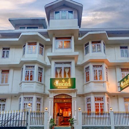 Muscatel Spring Burn - 100 Mts From Mall Road Darjeeling  Luaran gambar