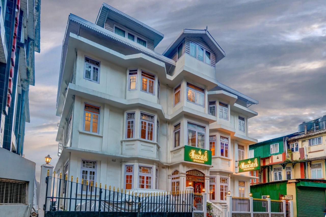 Muscatel Spring Burn - 100 Mts From Mall Road Darjeeling  Luaran gambar